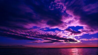 Cover «Розовое вино»