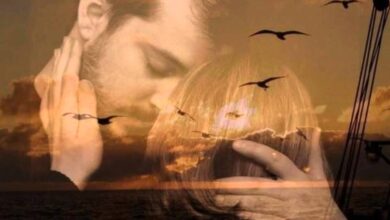 Мне душу продул суховей, Её же ошпарил самум. Циничнее стал я и злей -…