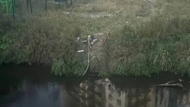 Росприроднадзор обнаружил источник сброса отходов в реку Охту в Мурино. Вода приобрела мутно-коричневый цвет…