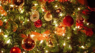 ***Ногодняя мечта*** А за окошком, Белый снег кружится, Он исполняет все мечты и чудеса,…