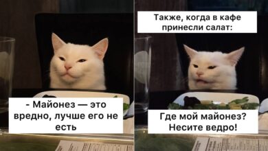 В Госдуме предложили запретить майонез Автор инициативы Милонов назвал белый соус «ядом для русской…