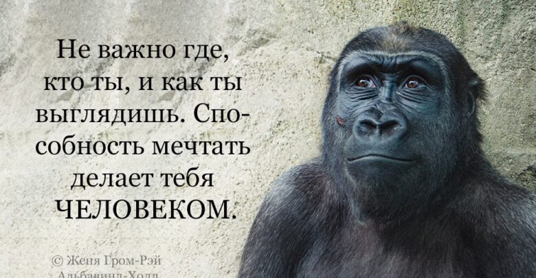 Не важно где, кто ты, и как ты выглядишь. Способность мечтать делает тебя ЧЕЛОВЕКОМ….