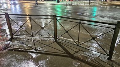 В 21:00 на перекрёстке Лесного проспекта и Нейшлотского переулка сбили собаку и скрылись. Хотелось…