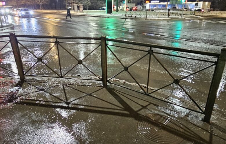 В 21:00 на перекрёстке Лесного проспекта и Нейшлотского переулка сбили собаку и скрылись. Хотелось…