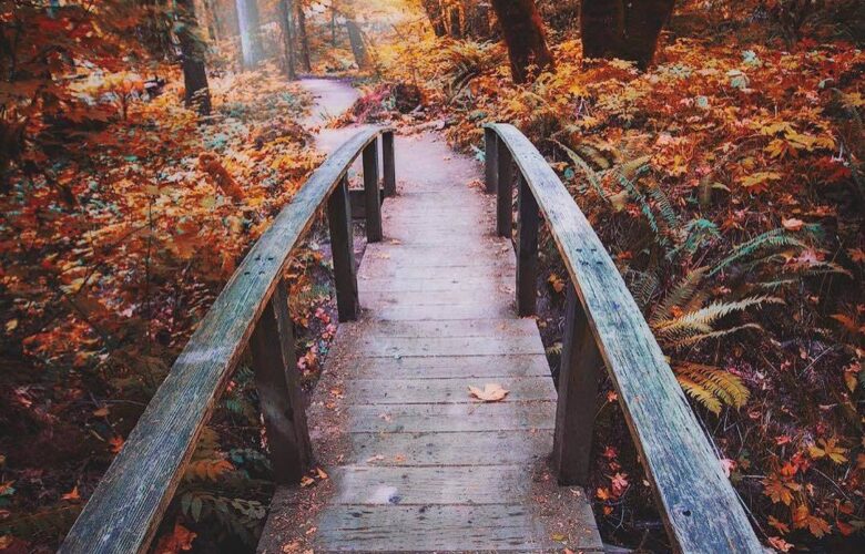 Верните осень мне. Верните мой октябрь. Ведь в это время все во мне Так…