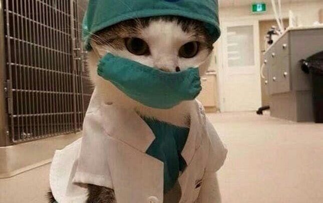 Доброе утро, петербуржцы! В понедельник, 6 октября, в Петербурге температура будет держаться в пределах…