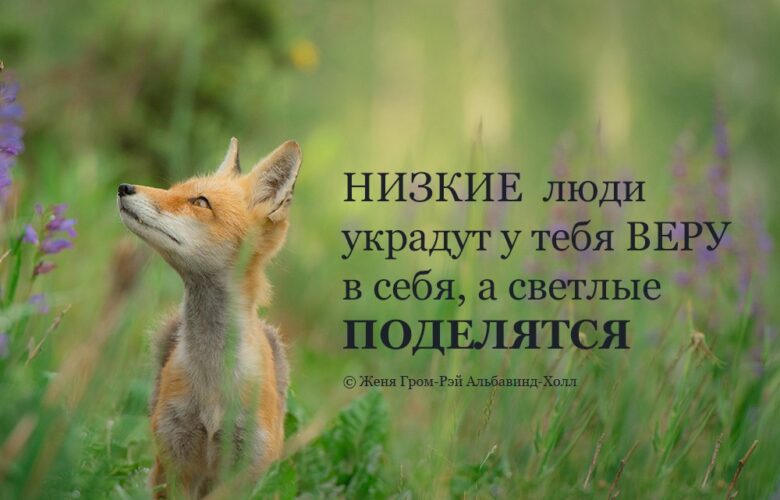 Низкие люди украдут у тебя веру в себя, а светлые поделятся. © Женя Гром-Рэй…