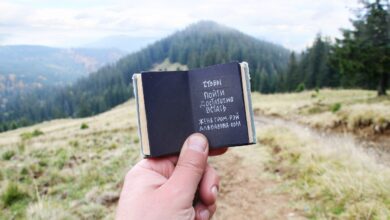 Что бы пойти, достаточно встать. © Женя Гром-Рэй Альбавинд-Холл #цитаты