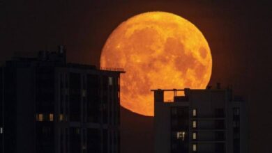 Суперлуние увидят россияне в ночь на 7 октября. Луна визуально увеличится в размерах, поэтому…