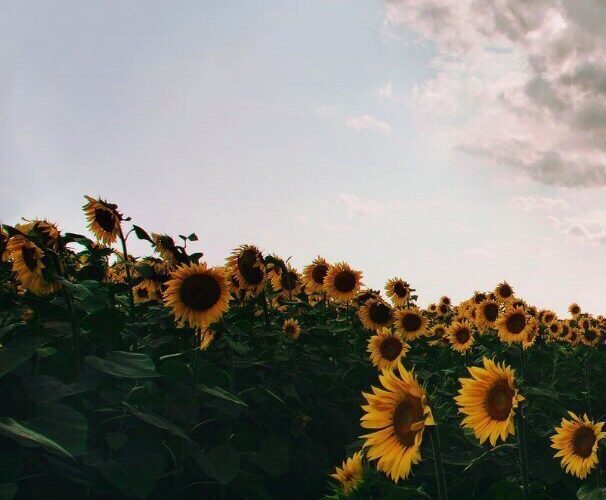 Ступив ногой в неизвестность И вдохнув раскаленного воздуха, Ты найди объясненье всему И прикрой…