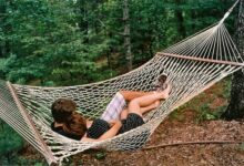 Ты услышь в моём голосе ноты, В пульсе тоже их трель улови. Нам Всевышним…