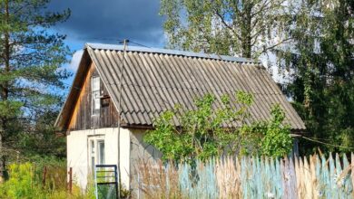 НЕБОЛЬШОЙ ДАЧНЫЙ ДОМИК С ХОРОШЕЙ БАНЬКОЙ В СНТ «СТРОИТЕЛЬ» ПОД ПСКОВОМ. К продаже предлагается…